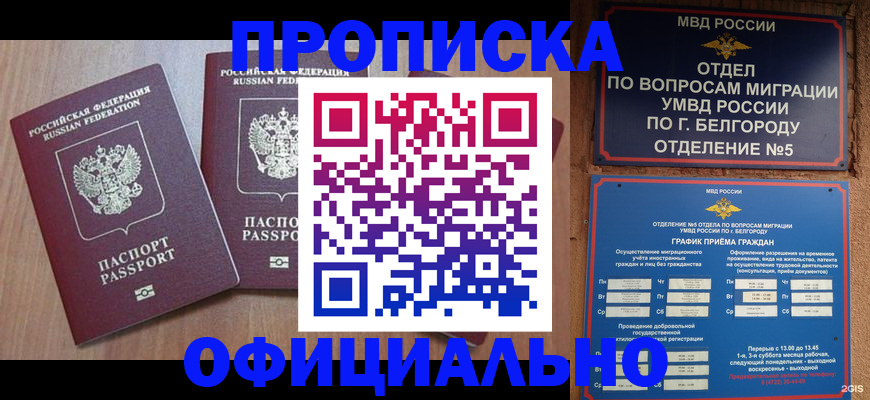 найти адрес прописки в Оленегорске